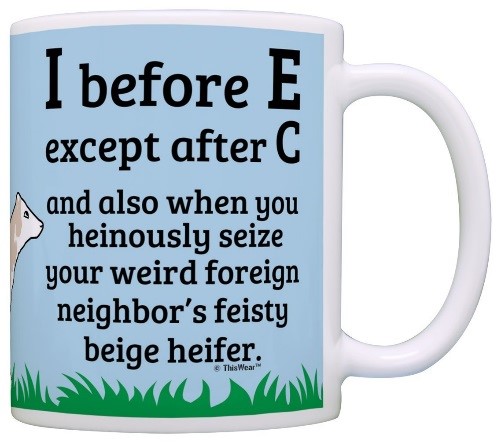 funny grammar mug